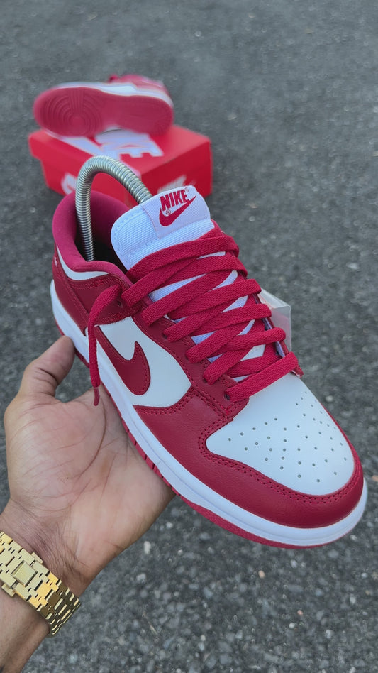 Nike Dunk 🫕